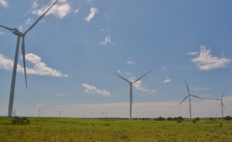 windmill farm